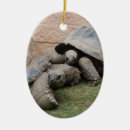 Search for turtle oval christmas tree decorations Tortoise