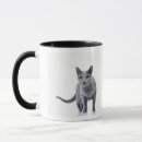 Search for russian cat mugs Cats