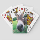 Search for funny photography games Farm animal