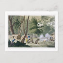 Search for tribes postcards 19th