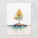 Search for maple postcards Outdoor