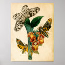Search for nymph posters Flowers