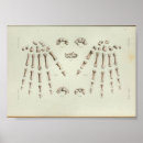 Search for finger paint posters Human