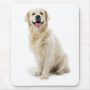 Search for smiling dog electronics Puppy