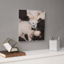 Search for dog napping art Golden retriever