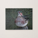 Search for duck puzzles Birds