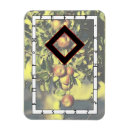 Search for runes magnets Viking