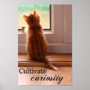 Search for curiosity posters Cat