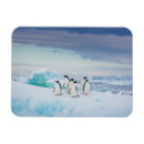 Search for antarctica magnets Snow