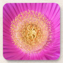 Search for pollen coasters Flower