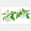 Search for apple trees stickers Flowers