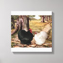 Search for bantam rooster art Poultry