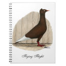 Search for fowl notebooks Hen