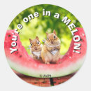 Search for chipmunks stickers Funny