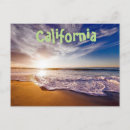 Search for coastal sunset postcards Surfing