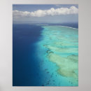 Search for accommodating posters View