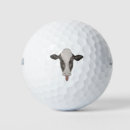 Search for milk golf balls Farm