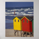 Search for windsurf art St james bay