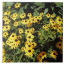 Search for garden path tiles Flowers