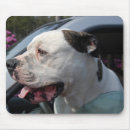 Search for bull dog mouse mats Canine