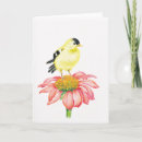 Search for goldfinch cards Blank