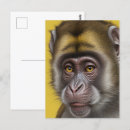 Search for monkey business postcards Cute