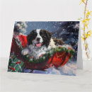 Search for newfoundland dog christmas cards Animal