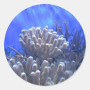 Search for coral reef stickers Water