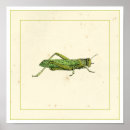 Search for nature border posters Green