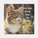 Search for funny slogans magnets Cat