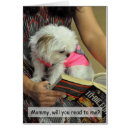 Search for chihuahua puppies postcards Small