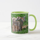 Search for pygmy goats mugs Kid