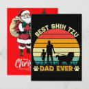 Search for shih tzu dad Dog mom