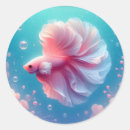 Search for betta fish stickers Pet