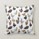 Search for hen cushions Crazy chicken lady