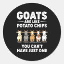 Search for tato stickers Instagram