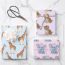 Search for cute jungle animals wrapping paper Wildlife