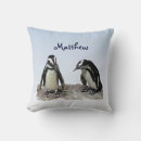 Search for penguin cushions Bird