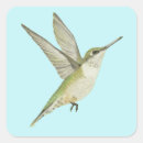 Search for throat stickers Wildlife