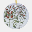 Search for chilli christmas tree decorations Pepper