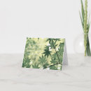 Search for maple leaves cards Green