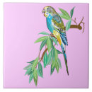Search for exotic tiles Wildlife