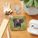 Search for kenya key rings Animals in the wild