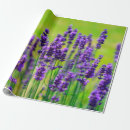 Search for florist wrapping paper Botanical