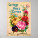 Search for catalogue posters Roses