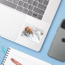 Search for ak stickers Animal
