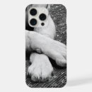 Search for longhair iphone cases Animal