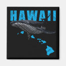 Search for polynesian magnets Tribal