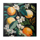 Search for orange fruit tiles Illustration