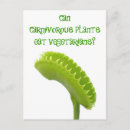 Search for vegetarian humour postcards Vegetarians